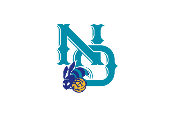 NBA logo redesigns New Orleans Hornets New Orleans Hornets